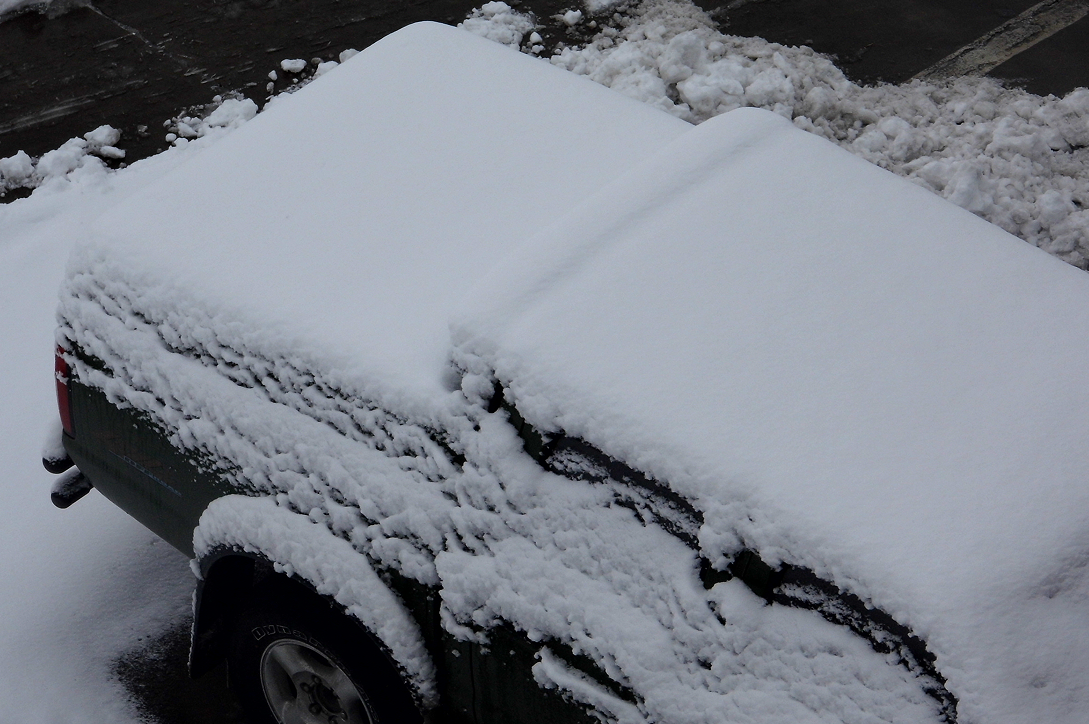 鯊魚王多變體汽車智能皮卡后箱蓋